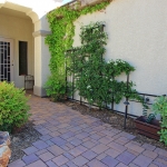Permeable paving and vines