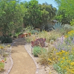 Desert pathway and bench
