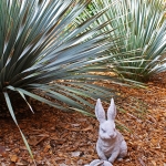 Suater-rabbits-IMG_1309-MW