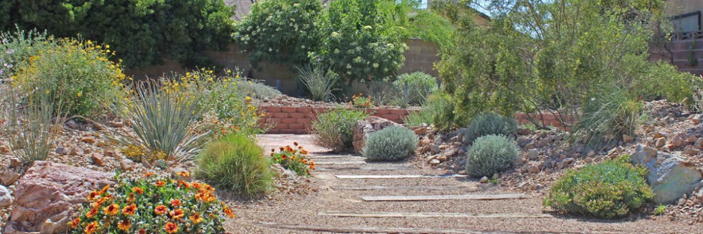 our awards and Creating beautiful, sustainable landscapes in Las Vegas