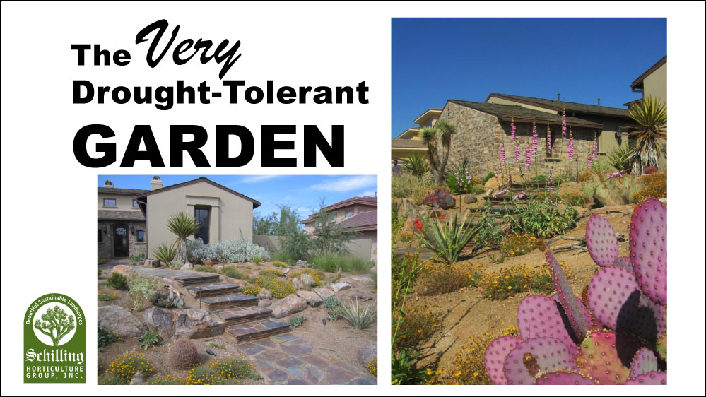 The Very drought-tolerant garden Presentation by Norm Schilling