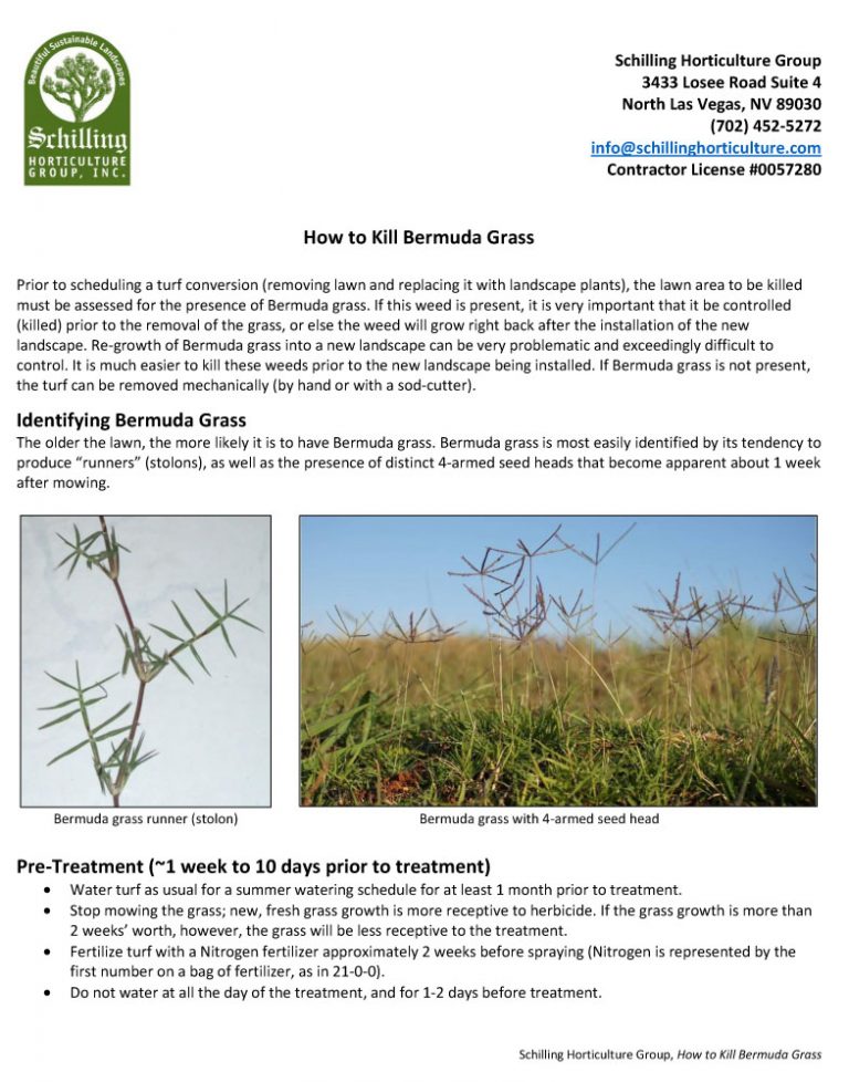 HowtoKillBermudaGrass Schilling Horticulture