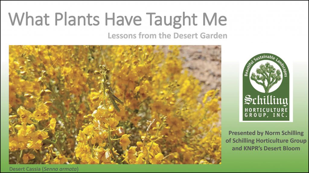 What Plants Have Bought Me Norm Schilling Horticulture