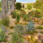 SNWA Award Winning Landscapes by Schilling Horticulture Group ...