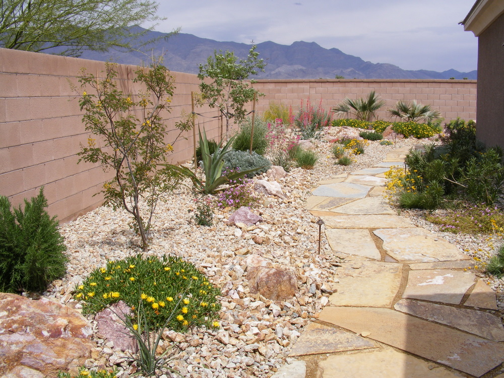 Desert Landscape - Schilling Horticulture