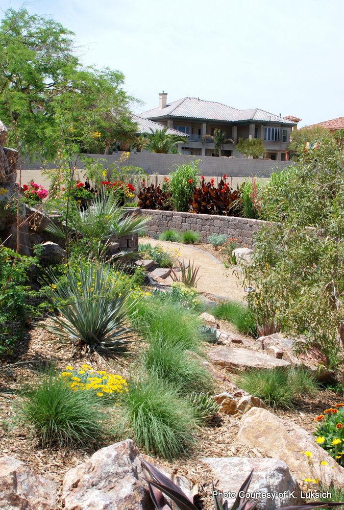 2009 SNWA Landscape Award Winner - Schilling Horticulture