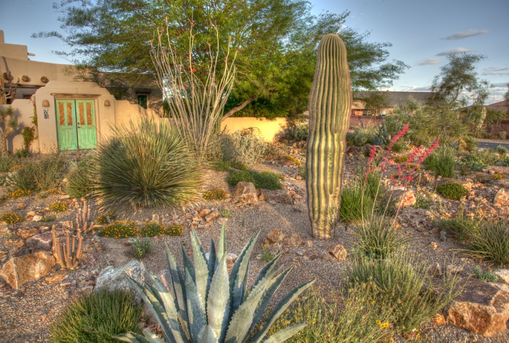 SNWA 2011 Landscape Award Winner 2nd Place - Schilling Horticulture